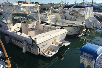 Proline 220 CUDDY FISH for sale in Italy for €14,000 ($16,735)