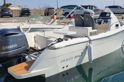 Kelt WHITE SHARK 240 SC for sale in France for €94,000 (£80,882)