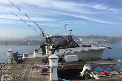 Pace 33 for sale in United States of America for $30,000 (£21,922)