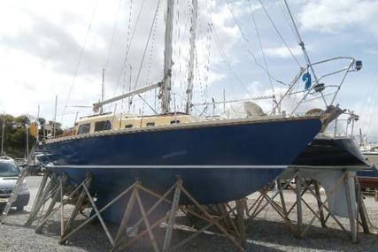 Contest 30 for sale in United Kingdom for £9,950