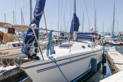 Catalina 42 MkII for sale in United States of America for $169,000 (£120,881)