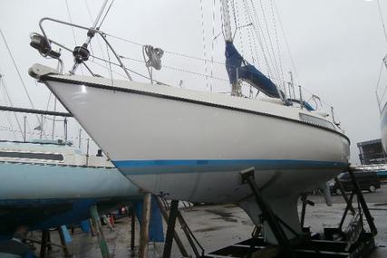 Hallberg-Rassy 26 for sale in United Kingdom for £15,500