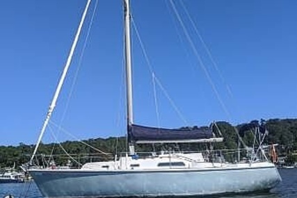 Pearson 10M for sale in United States of America for $15,750 (£11,404)