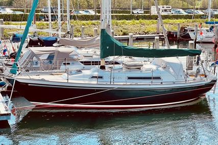 Nicholson 31 for sale in Netherlands for €44,500 (£38,311)