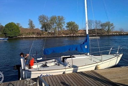 J Boats J24 for sale in United States of America for $11,250 (£7,985)