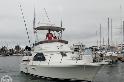 Black Watch 310 for sale in United States of America for $195,000 (£140,015)