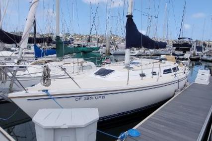 Catalina 36 for sale in United States of America for $45,000 (£32,582)