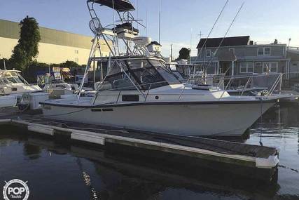 Rampage 280 SPORTSMAN DELUXE for sale in United States of America for $25,500 (£18,412)