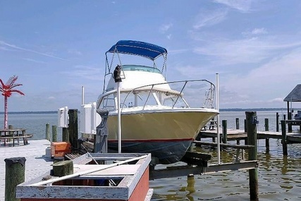 Bertram 25 for sale in United States of America for $24,500 (£17,524)