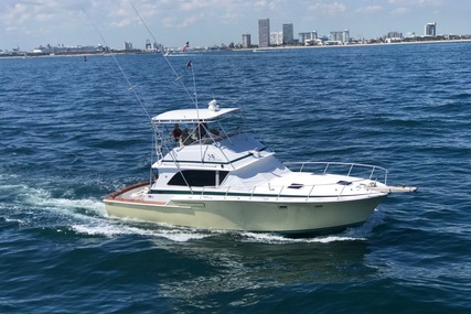 Bertram Sport Fish for sale in United States of America for $75,000 (£53,995)