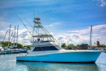 Viking Convertible for sale in United States of America for $339,000 (£243,501)