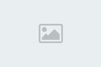 Sea Ray SPX 190 OB for sale in United States of America for $33,900 (£24,341)