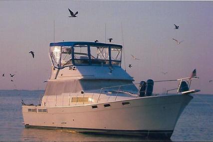 Bayliner 3870 for sale in United States of America for $54,900 (£39,585)