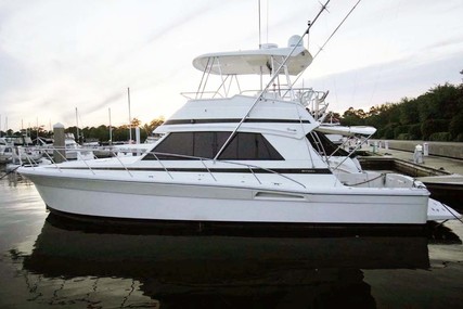 Riviera 43 Flybridge for sale in United States of America for $209,000 (£154,296)