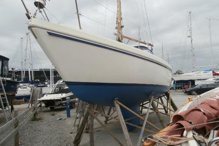 Seamaster 815 for sale in United Kingdom for £5,900