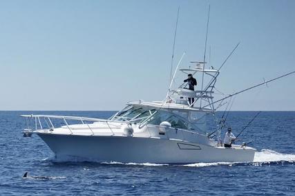 CABO 40 Express for sale in Spain for €300,000 (£255,493)