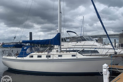 Watkins 33 Seawolf for sale in United States of America for $27,800 (£20,255)