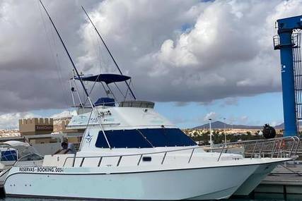 Cata 356 Sportfisherman for sale in Spain for €95,000 (£80,731)