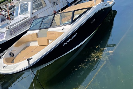 Sea Ray 190 SPX OB for sale in Netherlands for €44,500 (£37,975)