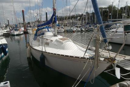Trapper 500 for sale in United Kingdom for £5,500