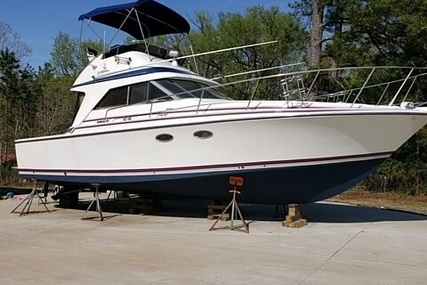 Trojan International 10 Meter for sale in United States of America for $49,500 (£35,903)