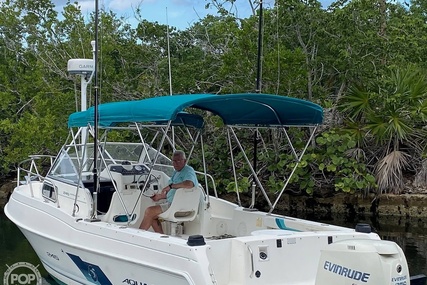 Aquasport 245 for sale in United States of America for $18,000 (£14,322)