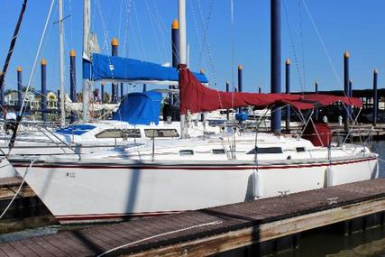 Hunter for sale in United States of America for $14,900 (£10,845)