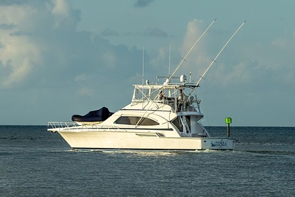 Bertram 510 Convertible for sale in United States of America for $250,000 (£203,527)