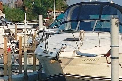 Sea Ray Ray for sale in United States of America for $83,000 (£67,722)