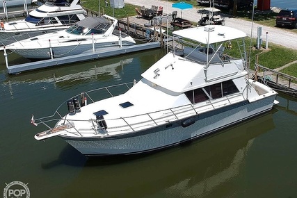 Silverton 40 Convertible for sale in United States of America for $46,000 (£38,432) Silverton 40 Convertible for sale in United States of America for $46,000 (£38,432)