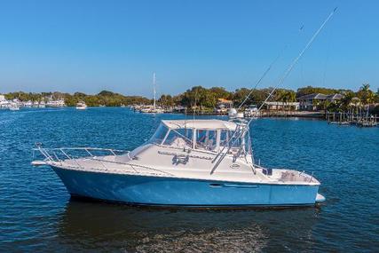 Ocean super sport for sale in United States of America for $185,000 (£146,487)