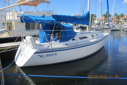 Hunter for sale in United States of America for $24,900 (£20,320)