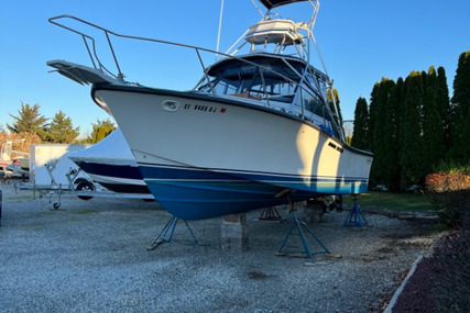 Rampage 28 Sportsman for sale in United States of America for $33,000 (£26,424) Rampage 28 Sportsman for sale in United States of America for $33,000 (£26,424)