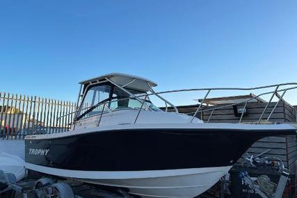 Trophy 2352 Walkaround for sale in United Kingdom for £39,995