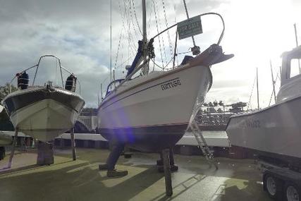 Westerly Berwick - Bilge keel for sale in United Kingdom for £11,000