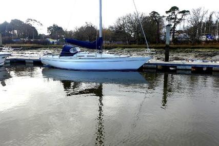 She 36 for sale in United Kingdom for £49,500