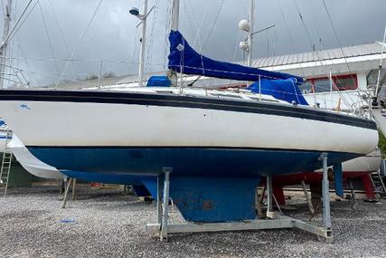 Dolphin 31 for sale in United Kingdom for £14,000