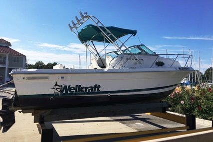 Wellcraft for sale in United States of America for $19,900 (£16,237)