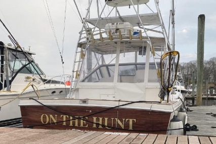 Blackfin Combi for sale in United States of America for $89,900 (£75,143)