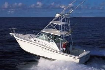 Rampage Express for sale in Jamaica for $207,000 (£165,713)