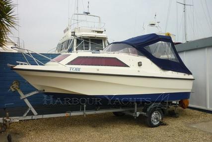 Shetland Family Four for sale in United Kingdom for £5,950