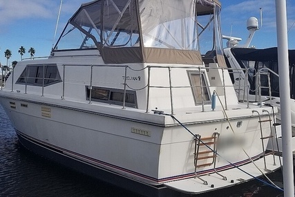 Trojan 36 Tri-Cabin for sale in United States of America for $24,900 (£19,716) Trojan 36 Tri-Cabin for sale in United States of America for $24,900 (£19,716)