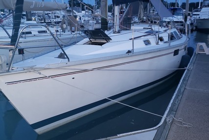 Hunter Legend 35.5 for sale in United States of America for $35,900 (£28,746) Hunter Legend 35.5 for sale in United States of America for $35,900 (£28,746)