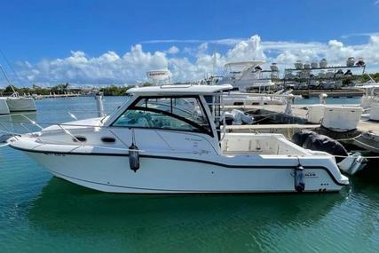 Boston Whaler 315 Conquest for sale in Puerto Rico for $292,000 (£233,815) Boston Whaler 315 Conquest for sale in Puerto Rico for $292,000 (£233,815)
