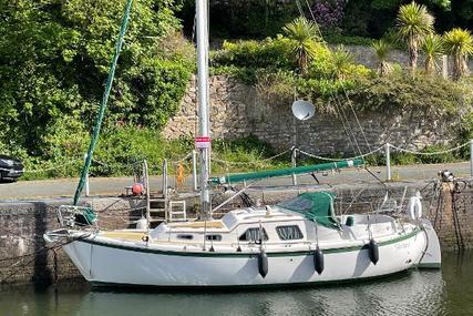 MIDGET 31 for sale in United Kingdom for £42,500