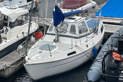 Tamar 24 for sale in United Kingdom for £7,950