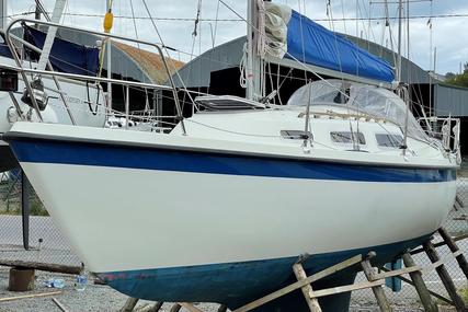 Hurley 800 Comfort for sale in Ireland for €18,950 (£16,310)