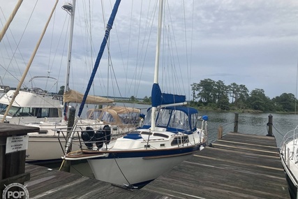 Irwin Yachts Yacht 38 for sale in United States of America for $54,900 (£44,763)
