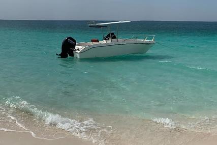 Samran Sport Fish for sale in Thailand for $22,500 (£18,513)