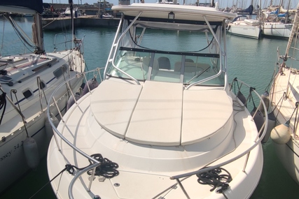 Robalo 300 for sale in Italy for P.O.A. (P.O.A.) Robalo 300 for sale in Italy for P.O.A. (P.O.A.)